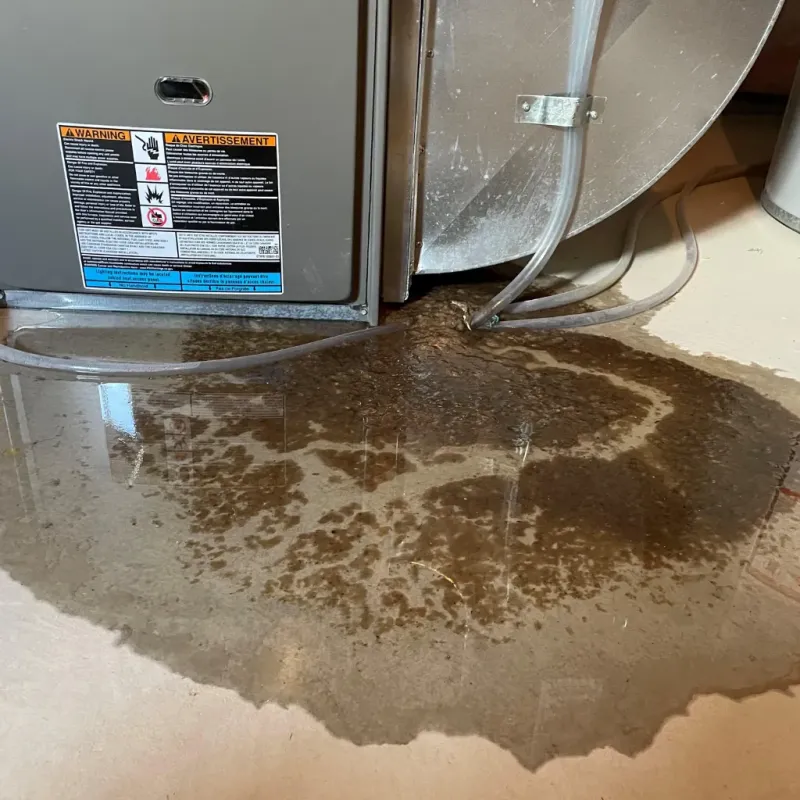 Appliance Leak Cleanup in Somers Point, NJ